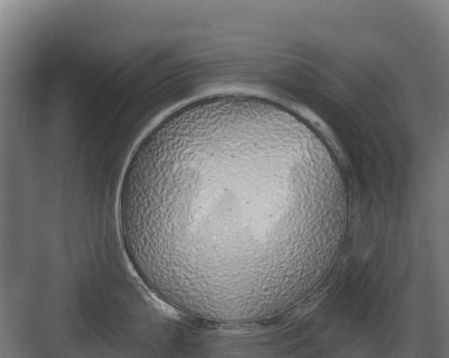 X0000082161199200702092209