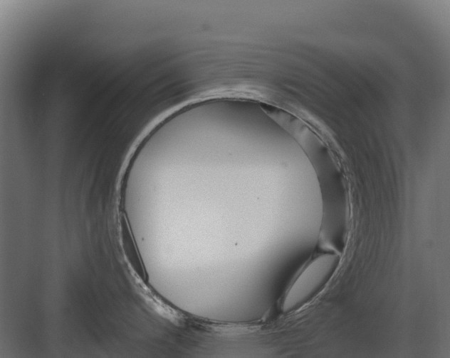 X0000082161200200702092209