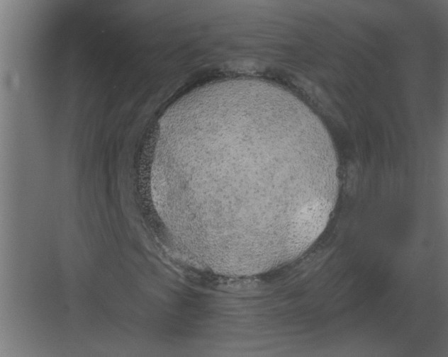 X0000082161201200702092209