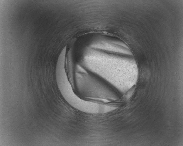 X0000082161202200702092209