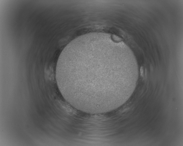 X0000082161203200702092209