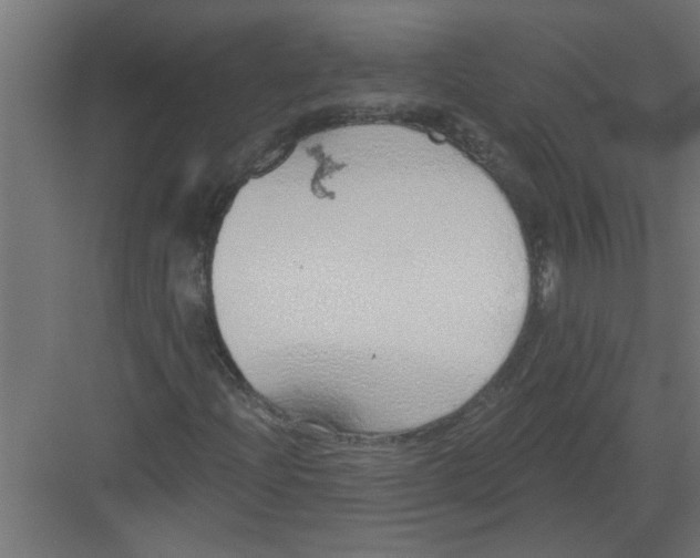 X0000082161204200702092209