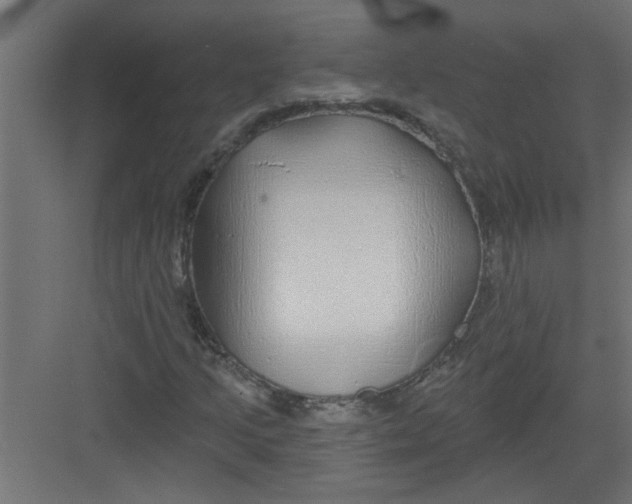 X0000082161205200702092209