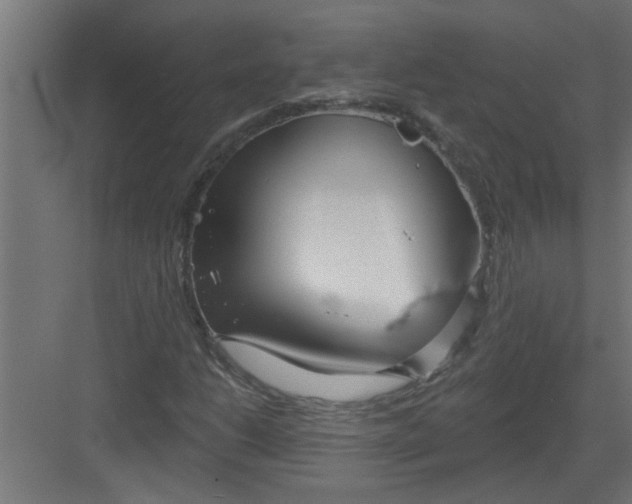 X0000082161206200702092209