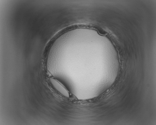 X0000082161208200702092209