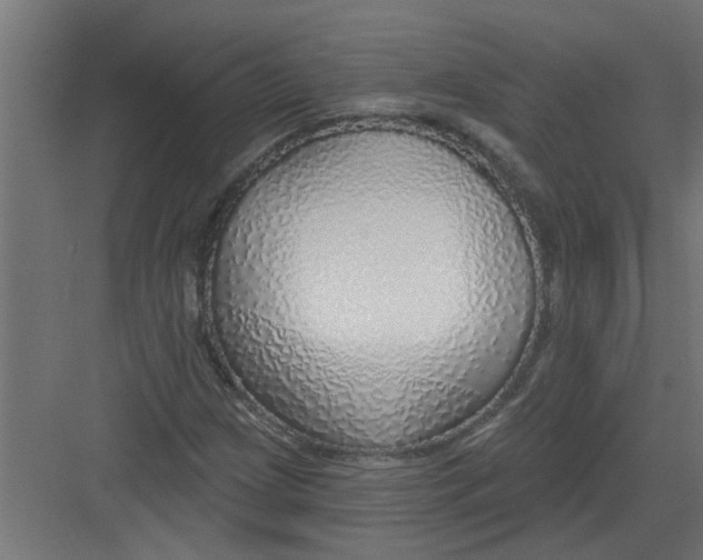 X0000082161209200702092209