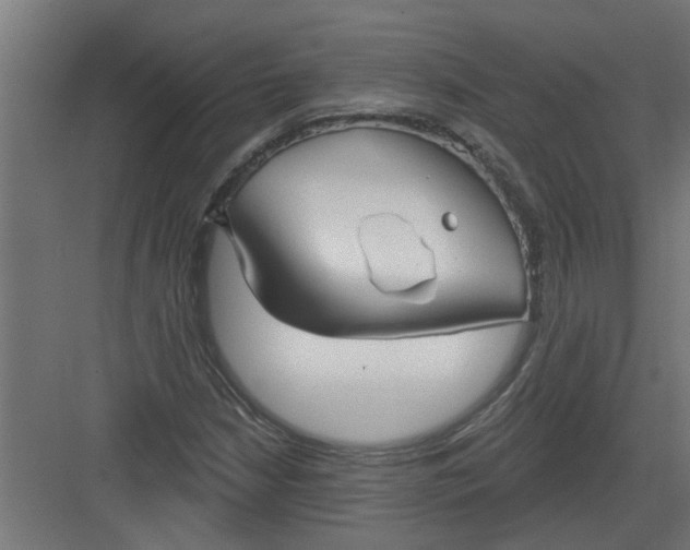 X0000082161210200702092209