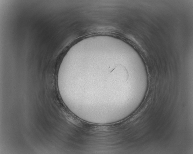 X0000082161211200702092209