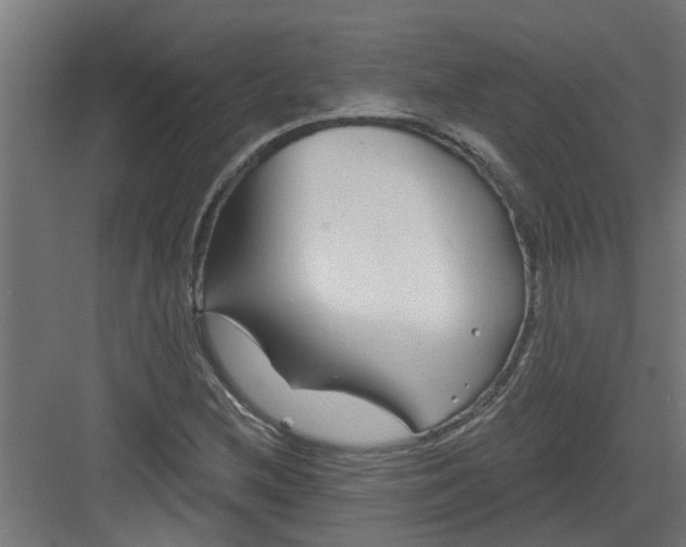 X0000082161212200702092209