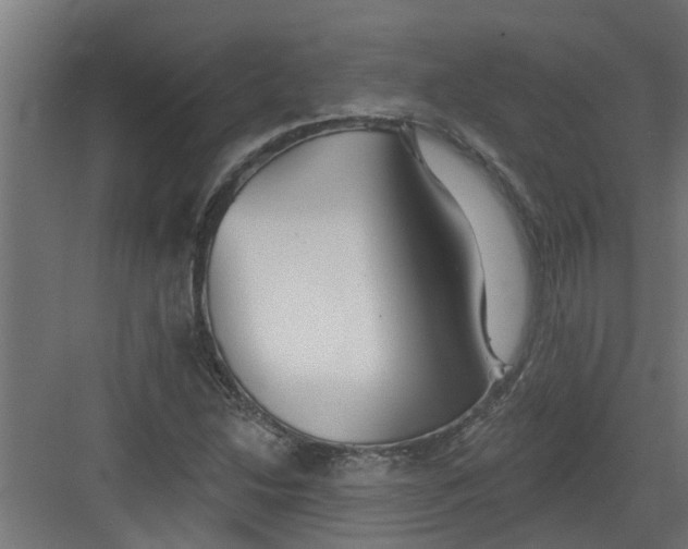 X0000082161214200702092209