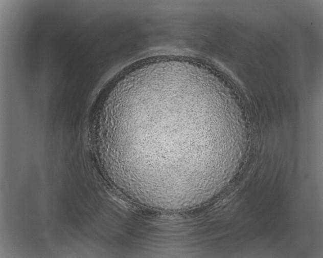 X0000082161215200702092209