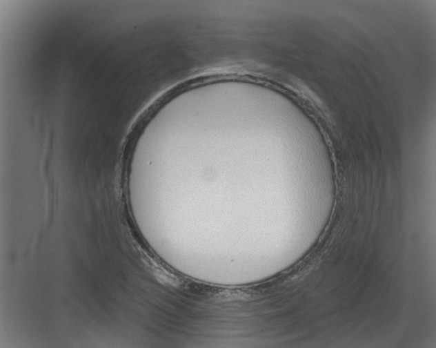 X0000082161216200702092209