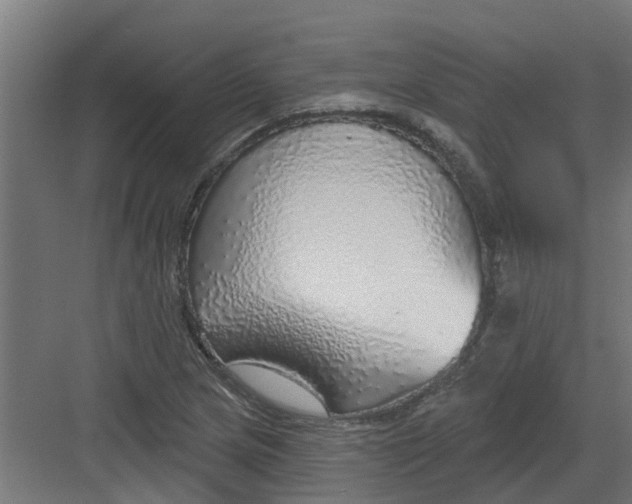 X0000082161217200702092209