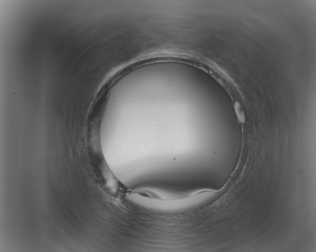 X0000082161222200702092209