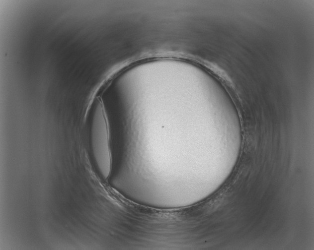 X0000082161223200702092209