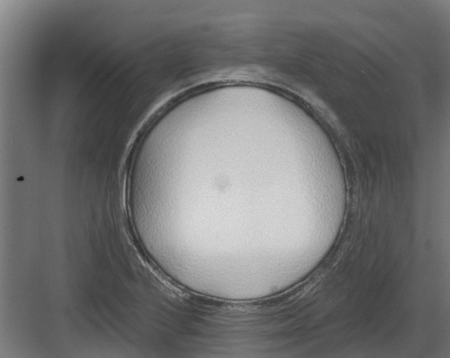 X0000082161224200702092209