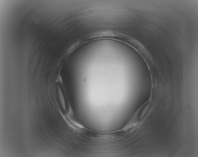 X0000082161225200702092209