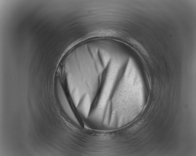 X0000082161226200702092209