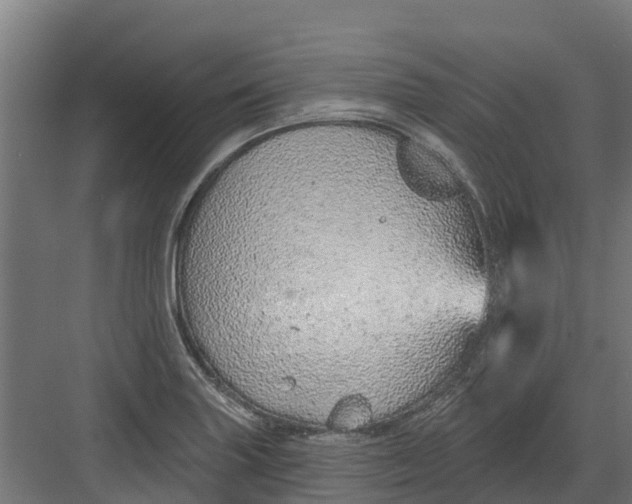 X0000082161227200702092209