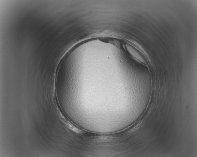 X0000082161228200702092209