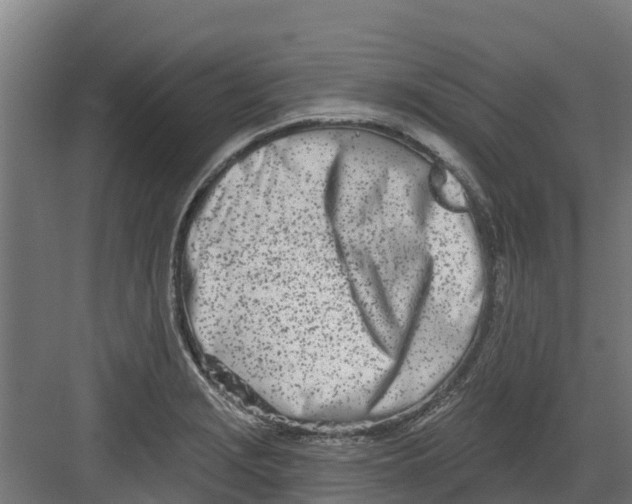 X0000082161229200702092209