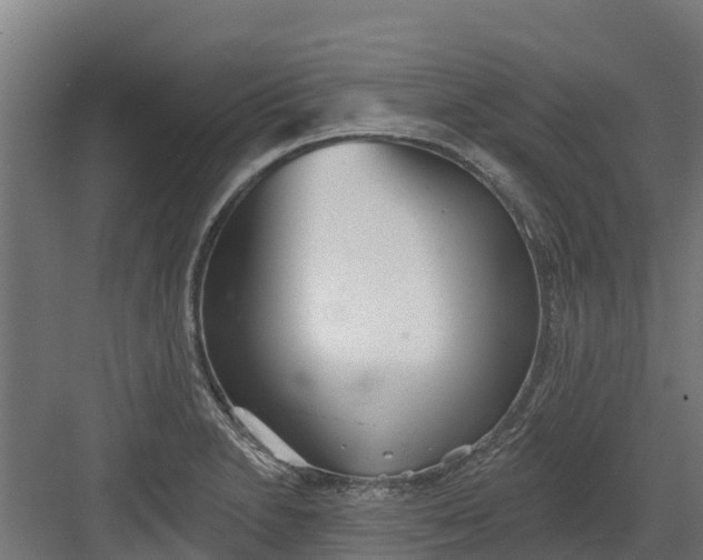 X0000082161230200702092209