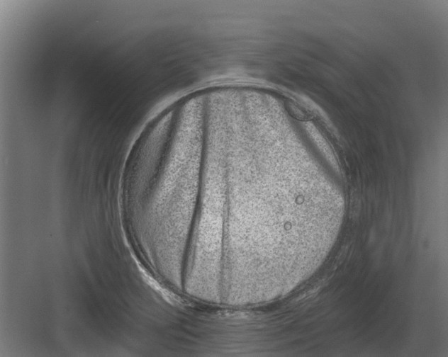 X0000082161231200702092209