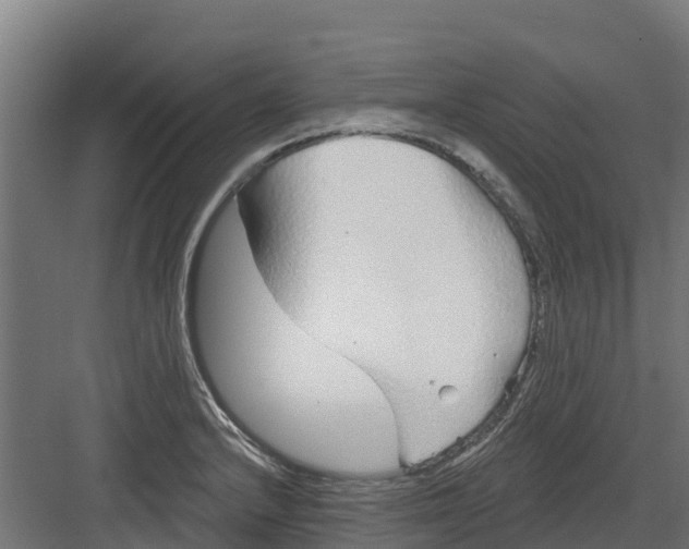 X0000082161232200702092209