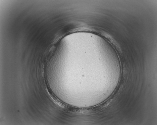 X0000082161233200702092209