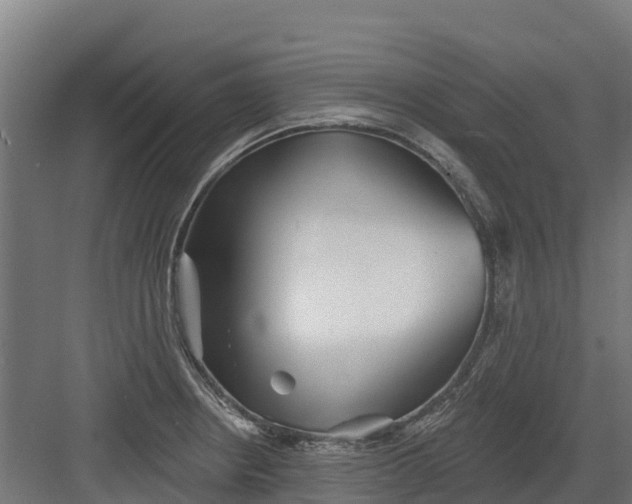 X0000082161234200702092209