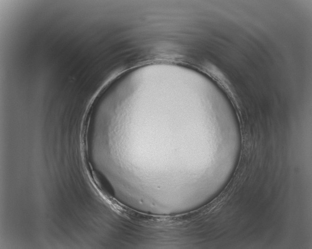 X0000082161235200702092209