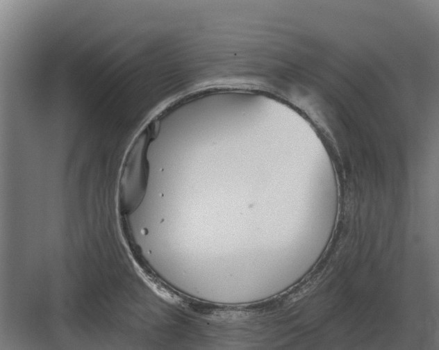 X0000082161237200702092209