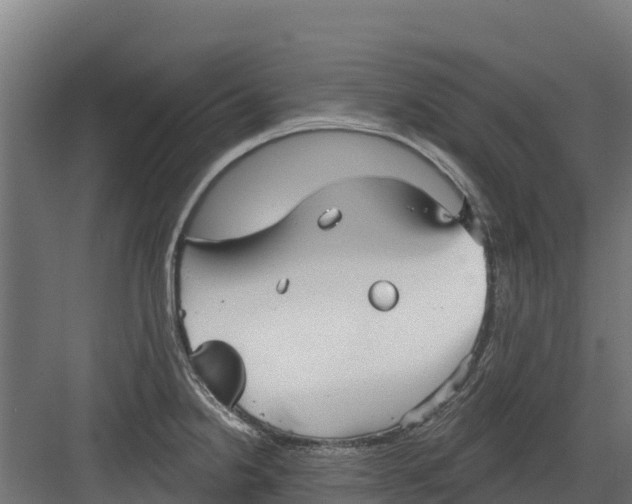 X0000082161238200702092209