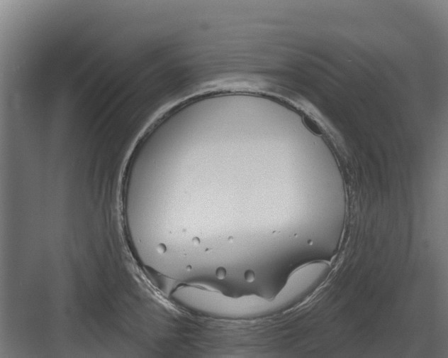 X0000082161240200702092209