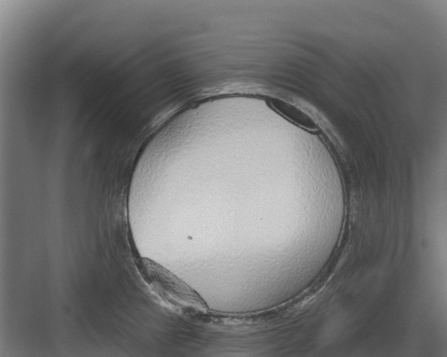 X0000082161241200702092209