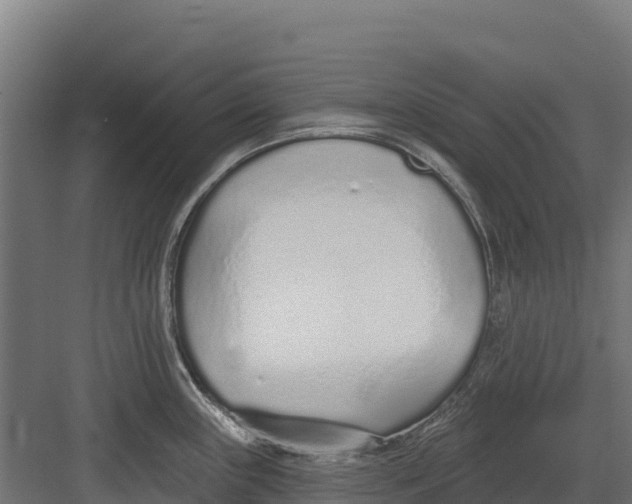 X0000082161243200702092209