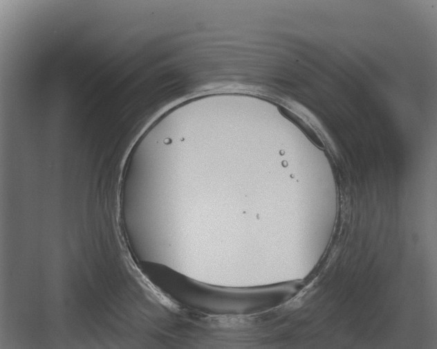 X0000082161244200702092209