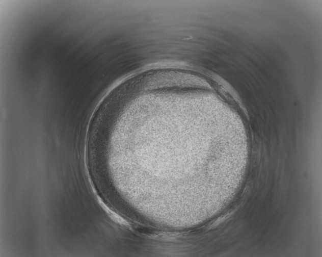 X0000082161245200702092209