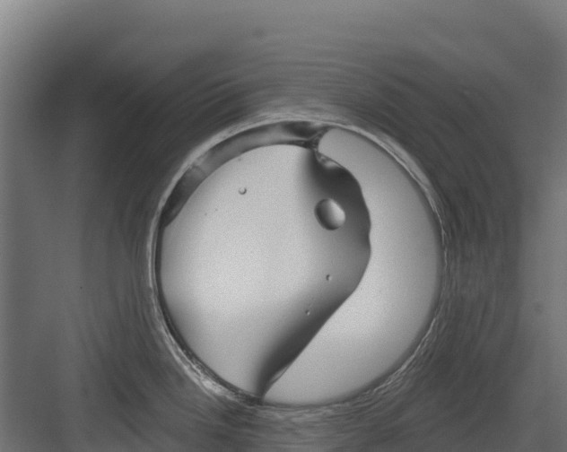 X0000082161246200702092209