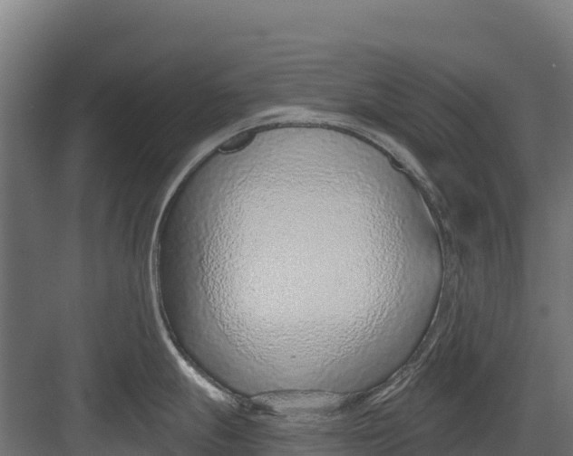 X0000082161247200702092209