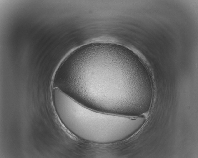 X0000082161248200702092209