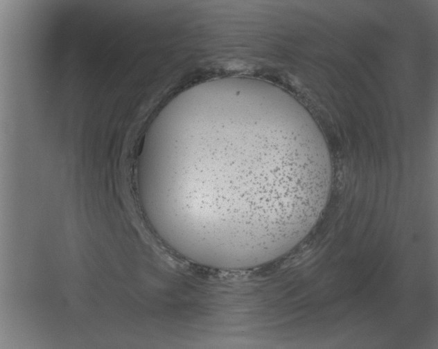 X0000082161249200702092209