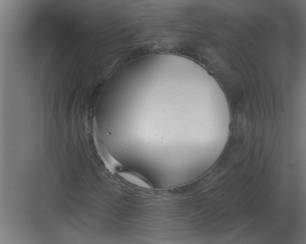 X0000082161250200702092209