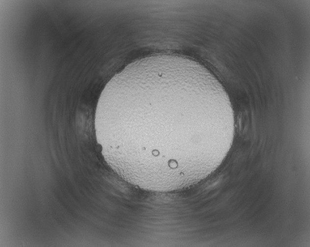 X0000082161251200702092209