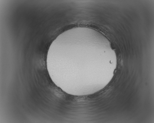 X0000082161252200702092209