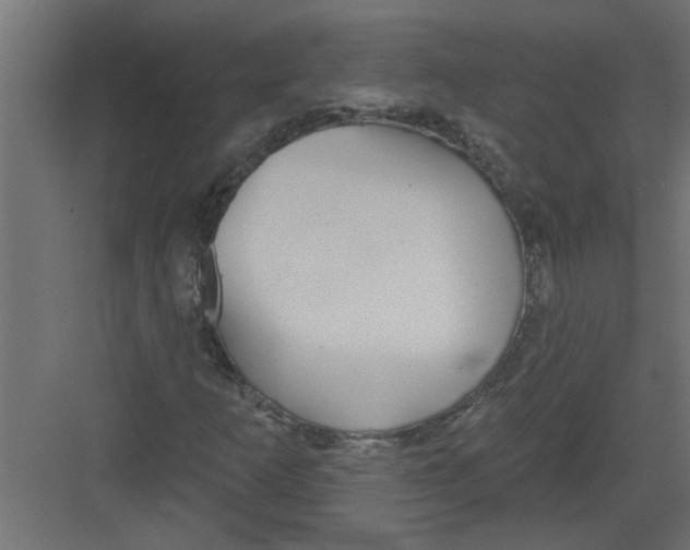 X0000082161253200702092209