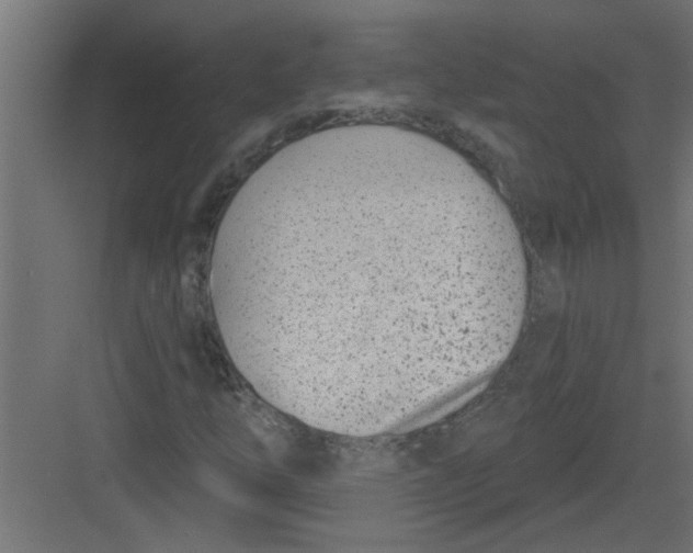 X0000082161254200702092209