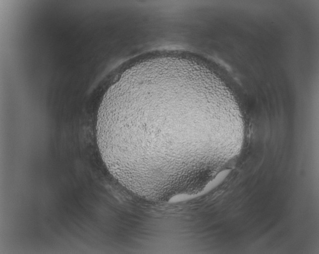 X0000082161255200702092208