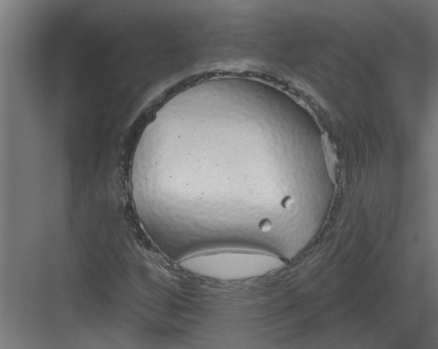 X0000082161256200702092208