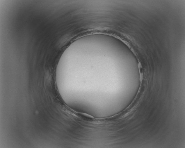 X0000082161257200702092208